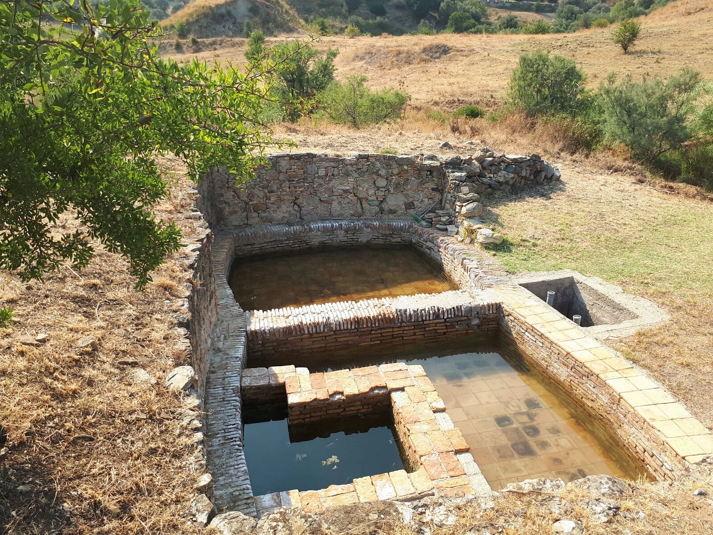 Agnana Calabra 2 334