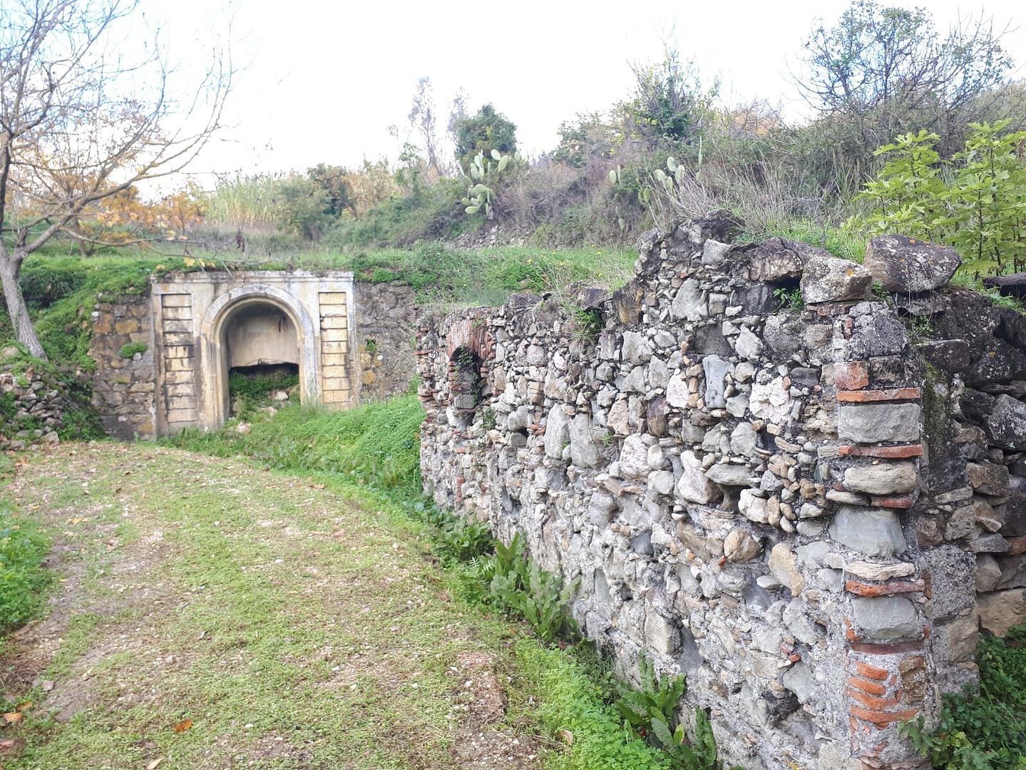 Territorio 4 391