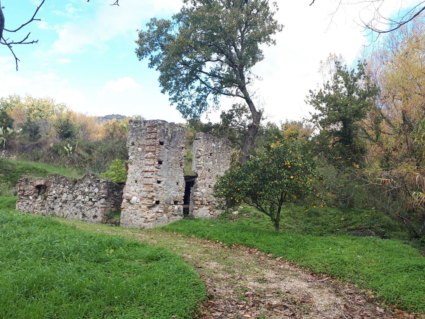 Territorio 3 399