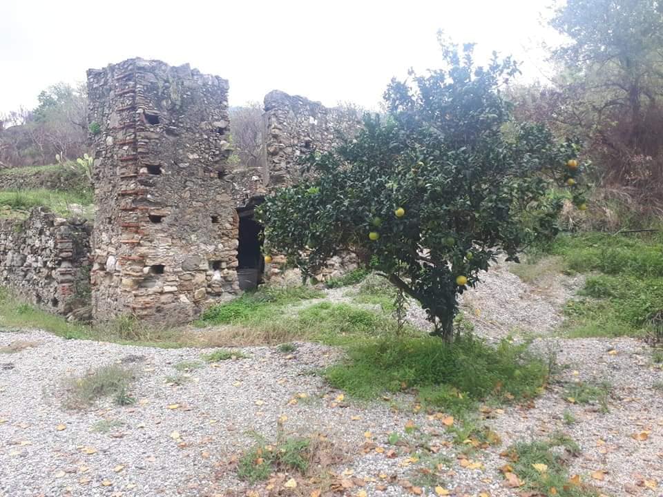 Territorio 5 IMG 20190108 WA0047